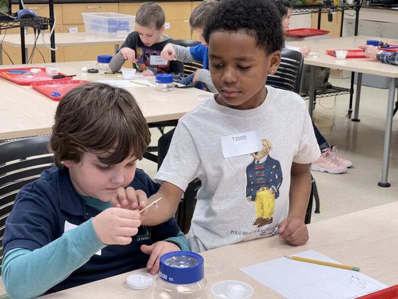 Van Andel Institute for Education Summer Camps gallery image 3
