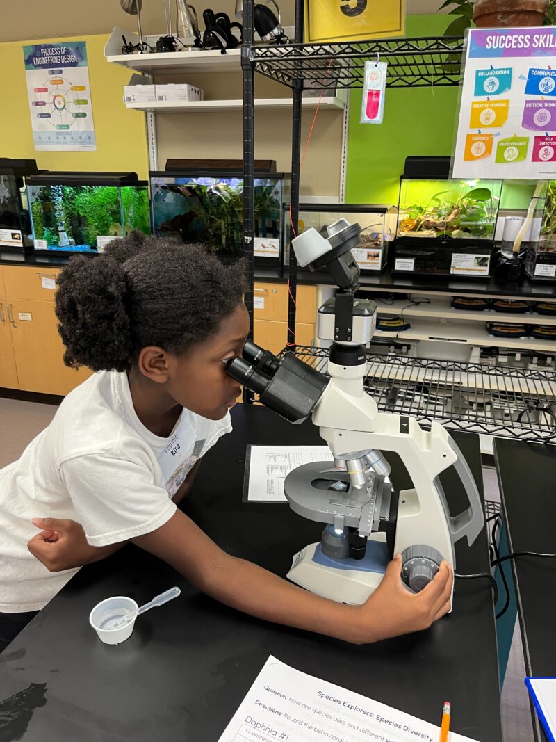 Van Andel Institute for Education Summer Camps gallery image 4