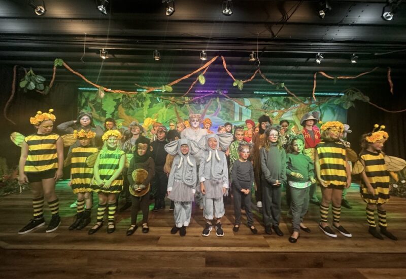 Children's Creations Theater and Act II Theater for Teens photo