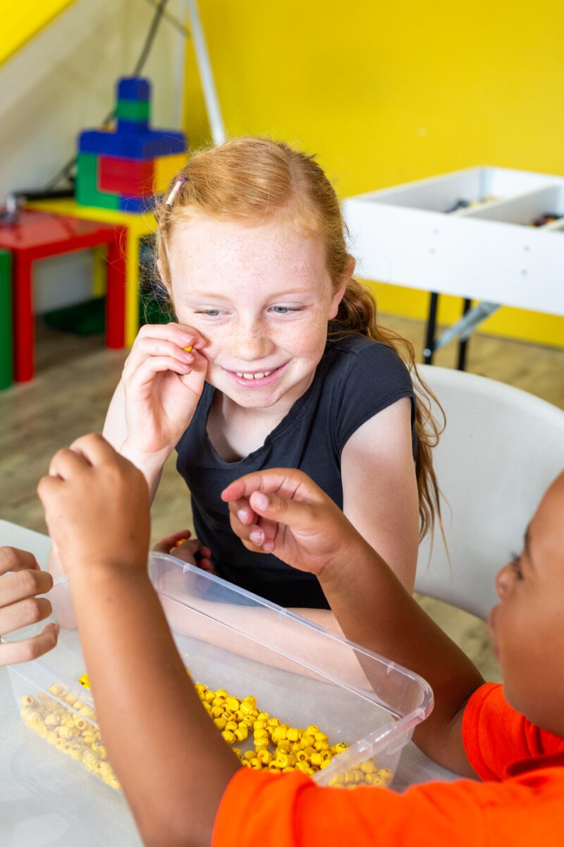 Bricks & Minifigs Grand Rapids gallery image 4