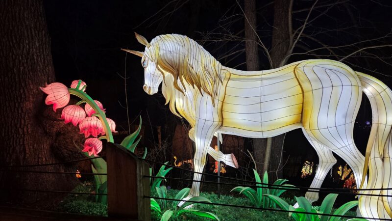 GR Lantern Festival Unicorn Vriezema