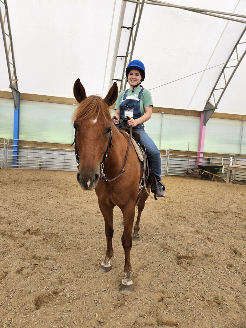 Karin's Horse Connection & Legacy Stables gallery image 2