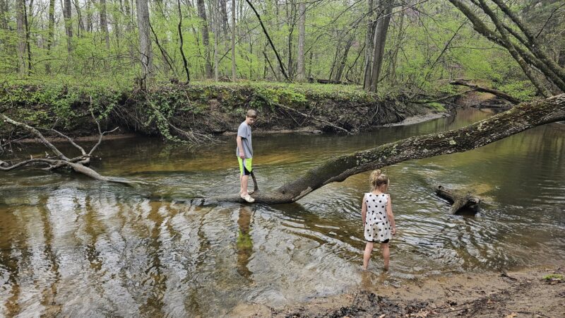 Aman Park Kids In Creek Veriezma