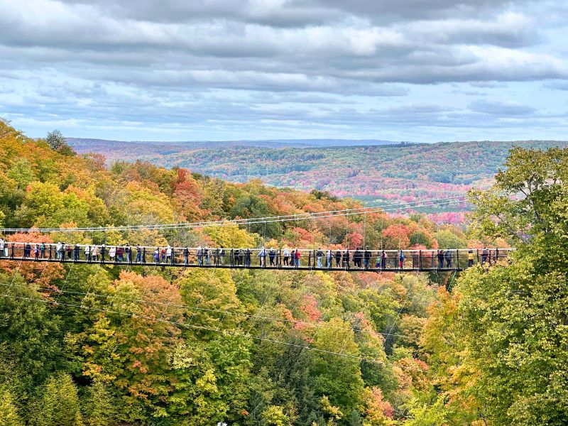 Boyne SkyBridge Fall VanderWeide