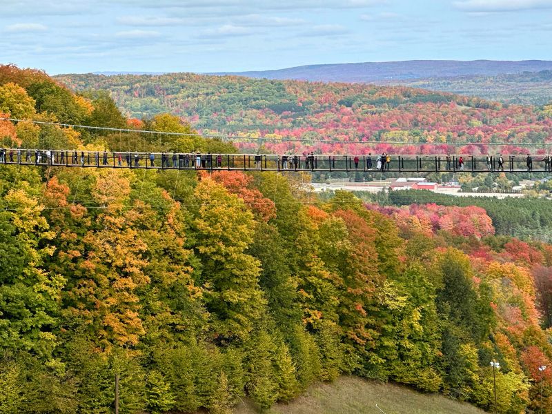 Boyne SkyBridge Valley View VanderWeide