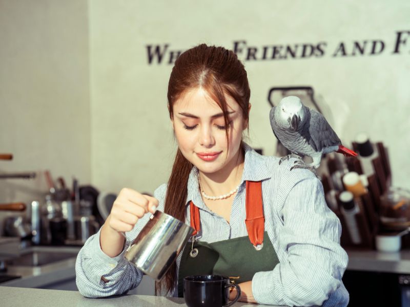 Teen Jobs Barita 