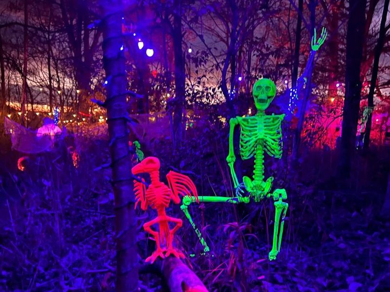 Cannonsburg Haunted Forest Skeleton FB Horz
