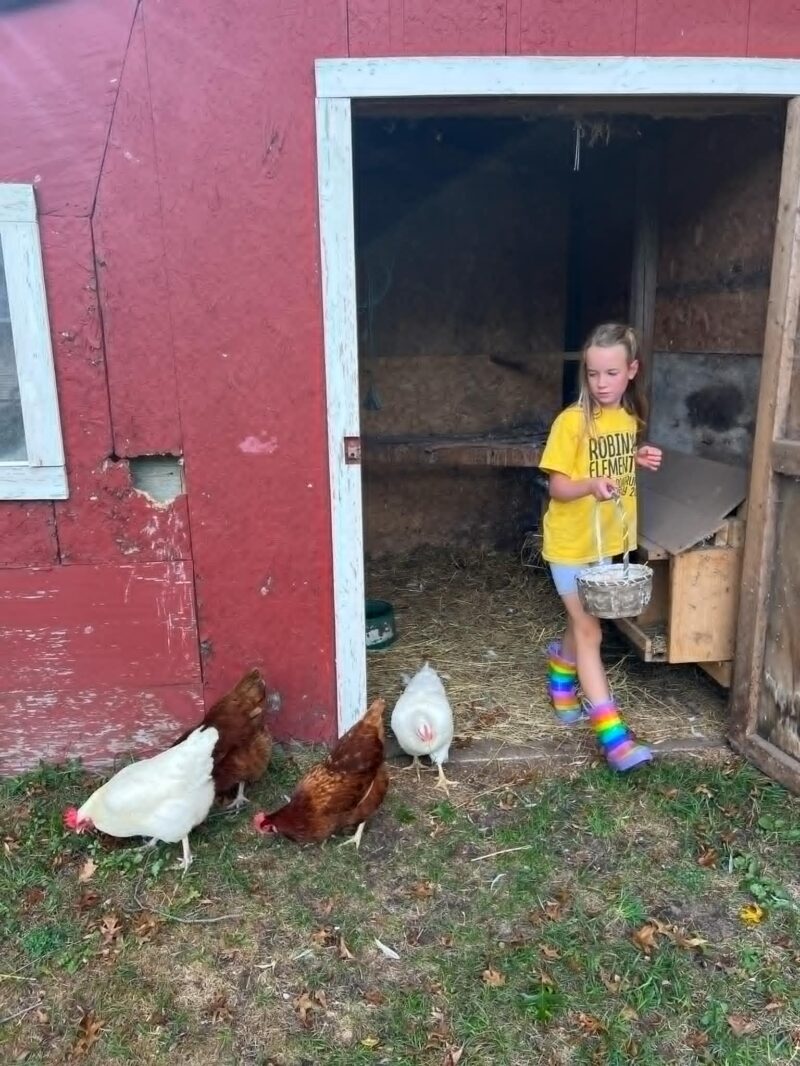 Raising Chickens Girl Coming Out Of Chicken Coop Malkski
