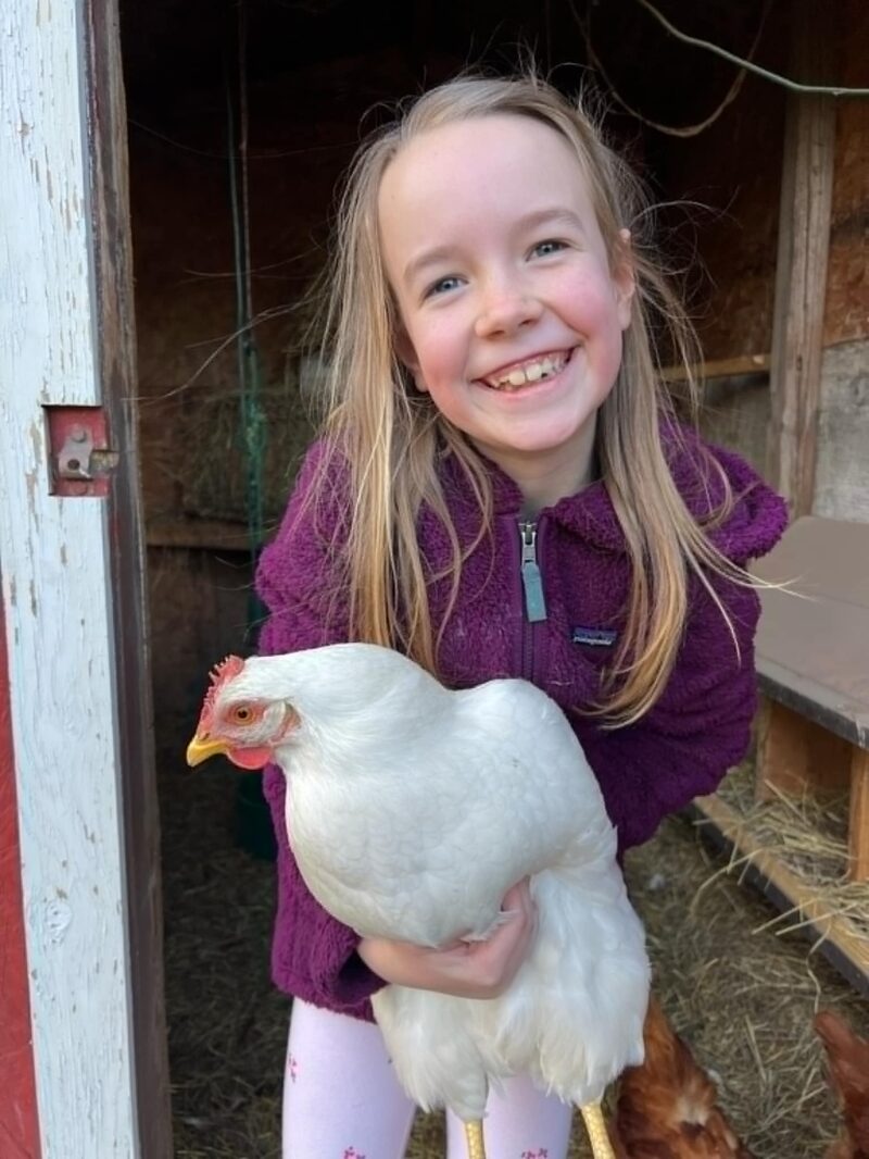 Raising Chickens Girl Holding Chicken Malski