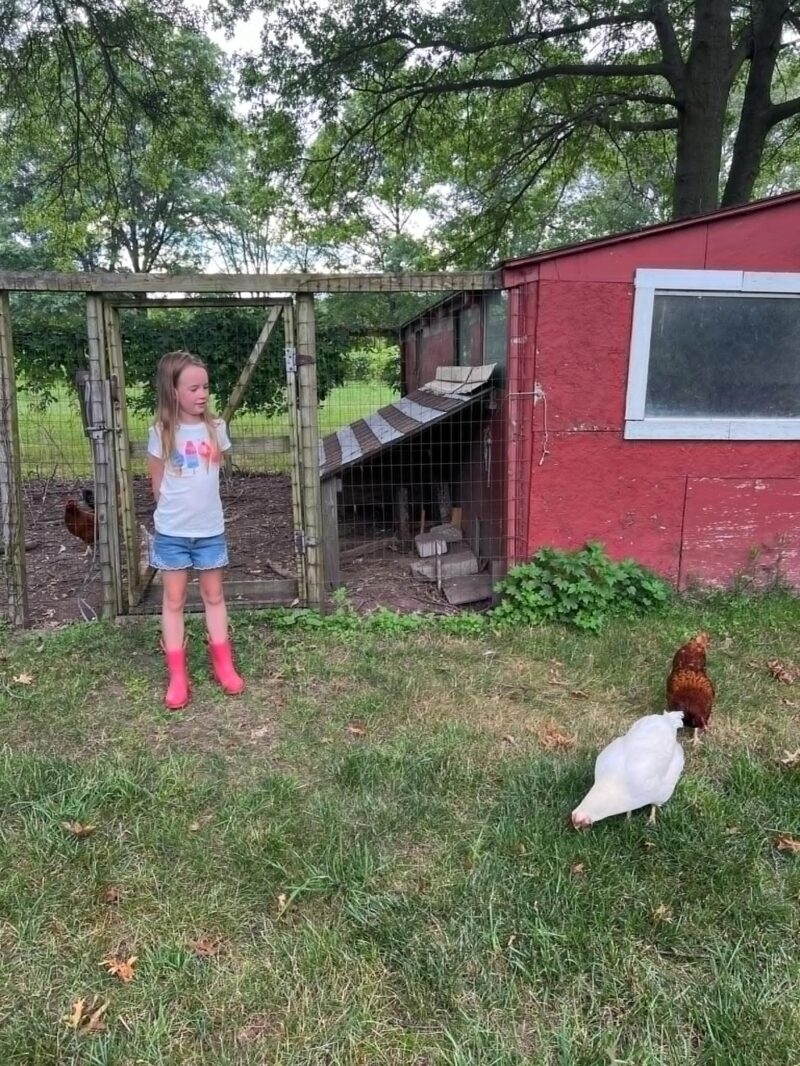 Raising Chickens Girl Outside Chicken Coop Looking At Chicken Malski
