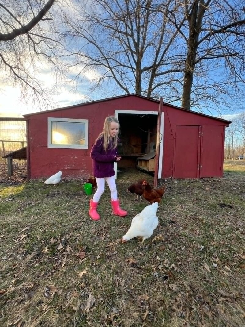 Raising Chickens Girl Outside Coop Looking Down At Chickens Malski