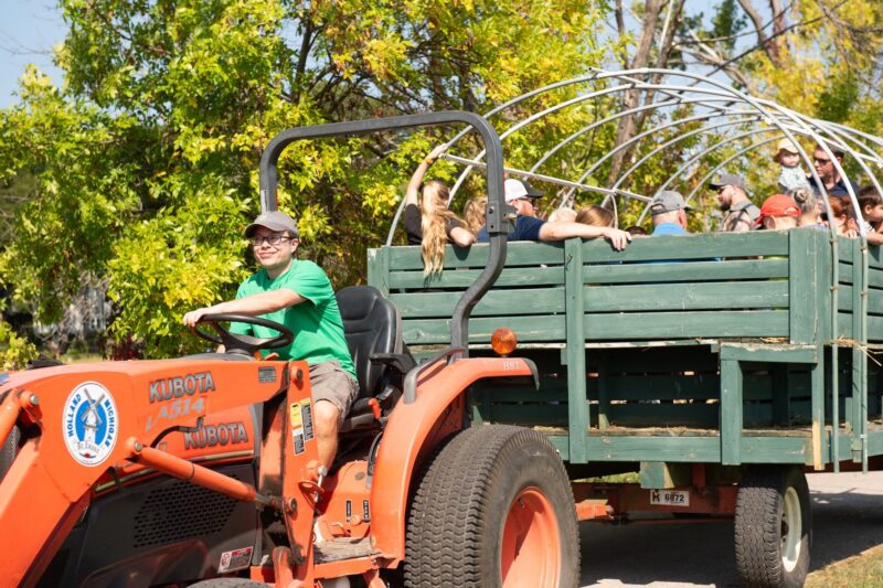 Holland Fall Fest Hay Ride FB