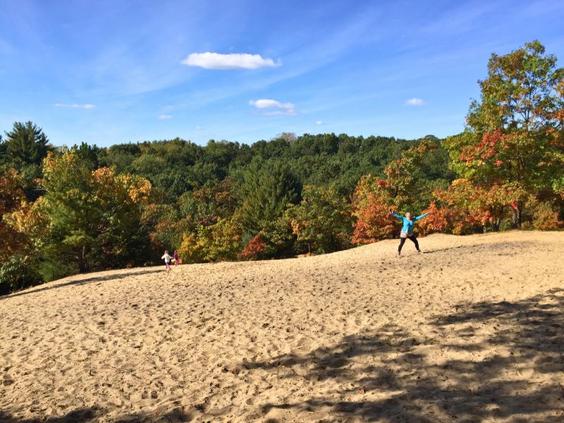 Fall Colors at Provin Trails Park in Grand Rapids