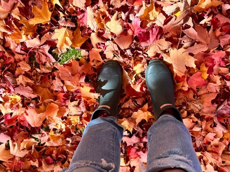 Boots in Fall Leaves in Michigan
