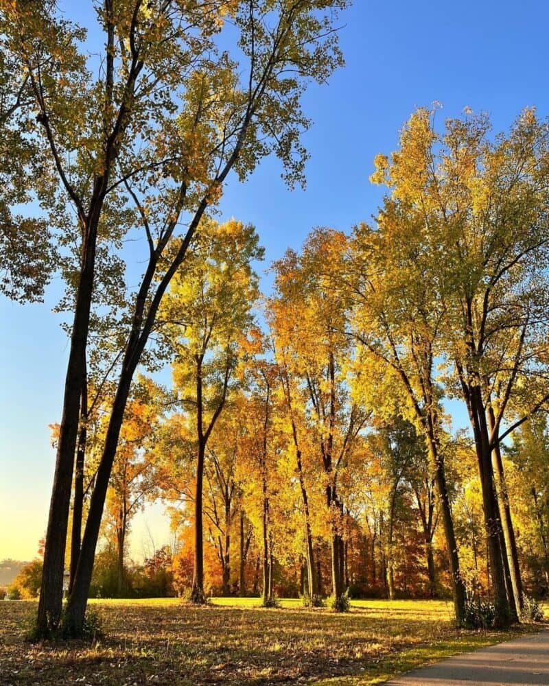 Reeds Lake Trail fall colors in Grand Rapids