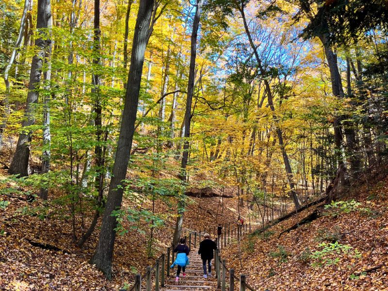 Rosy Mound Trail In Fall Amber Cox 1