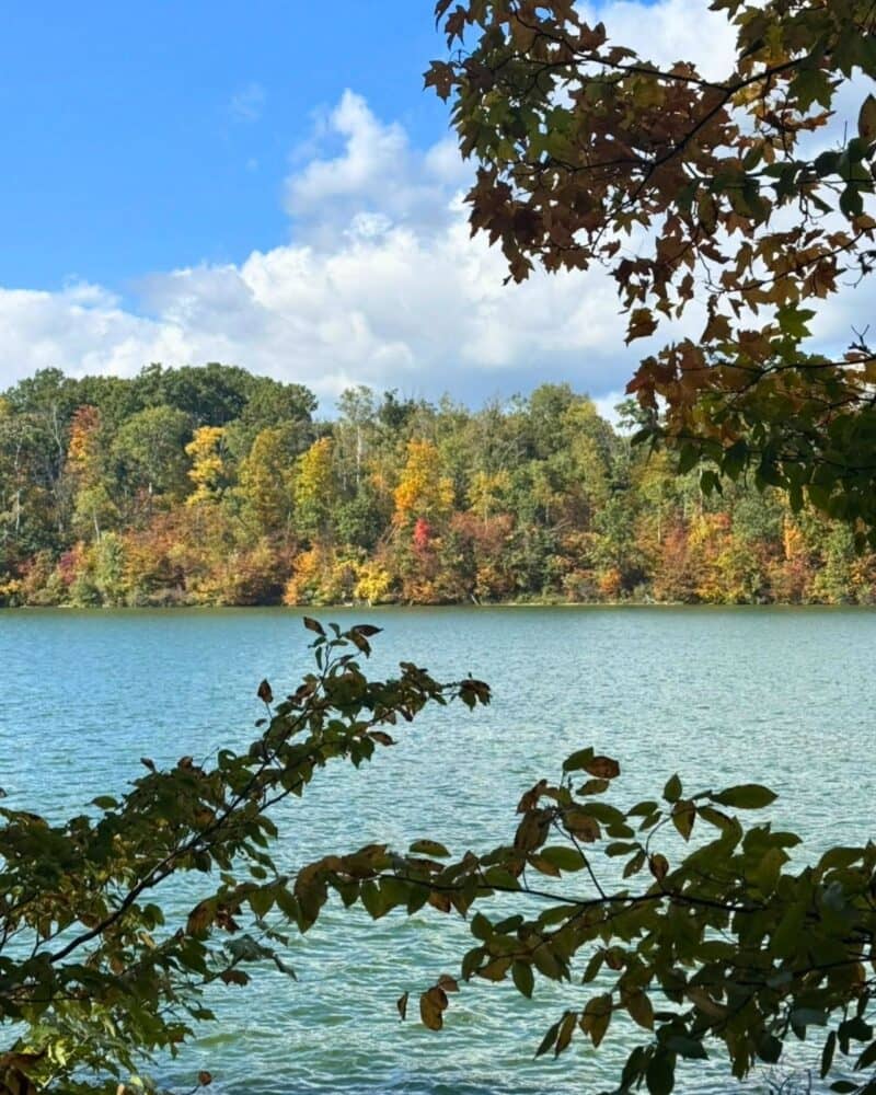 Dragons Trail Fall Colors Around Grand Rapids 1